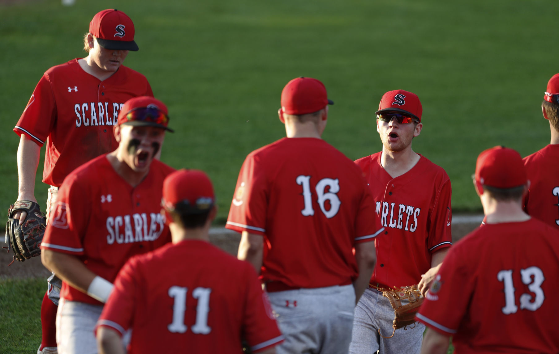 The Scarlets